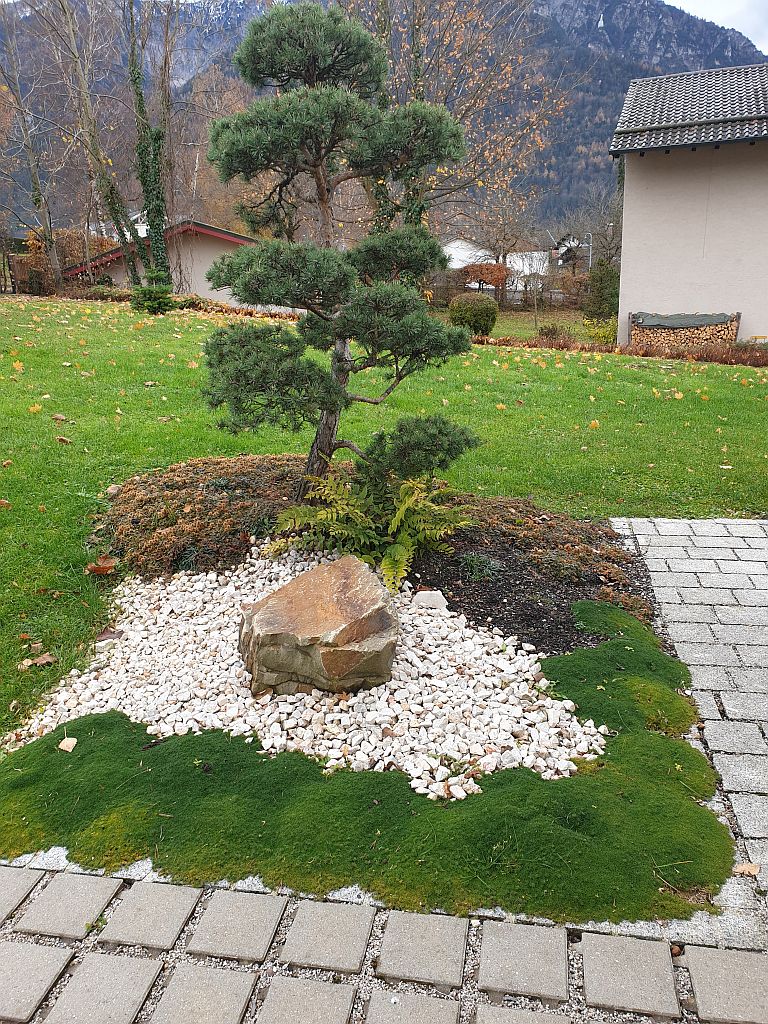 Gartenprojekt